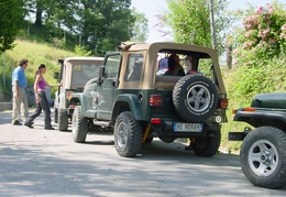Jeep Verdi 2
