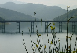 Ponte Lago