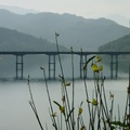 Ponte_Lago.jpg