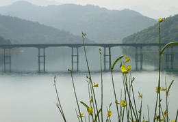 Ponte Lago2