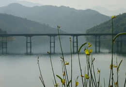 Ponte Lago3