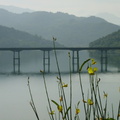 Ponte_Lago3.jpg
