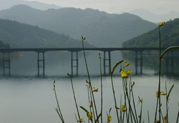Ponte Lago4