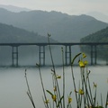 Ponte_Lago4.jpg