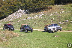IMG_4811-scaled