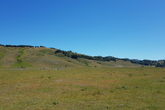 20190630_104729