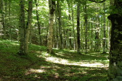 20190630_144011