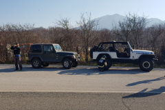 20190303_094731