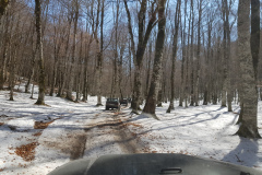 20190303_113956