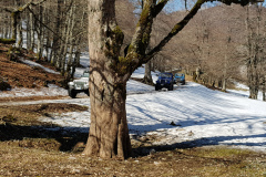 20190303_120129