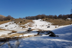 20190303_122216