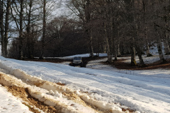 20190303_153903