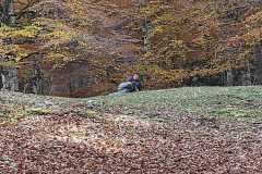 IMG-20221023-WA0028