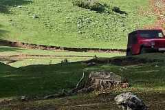 IMG-20221023-WA0031