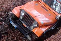 IMG-20221023-WA0078