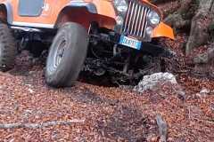 IMG-20221023-WA0079