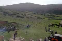 IMG-20221023-WA0087