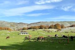 IMG-20221023-WA0108