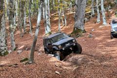 IMG-20221023-WA0113
