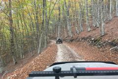 IMG-20221023-WA0124