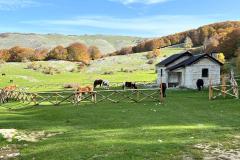 IMG-20221023-WA0126