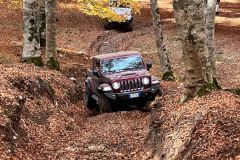IMG-20221023-WA0151