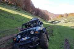 IMG-20221024-WA0021